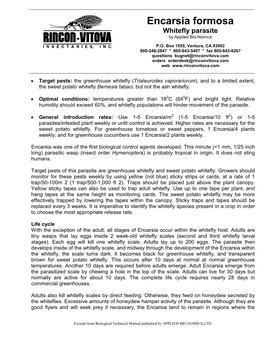 Encarsia Formosa Whitefly Parasite by Applied Bio-Nomics