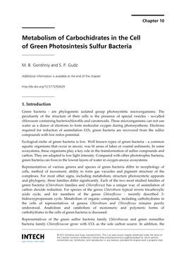 Metabolism of Carbochidrates in the Cell of Green Photosintesis Sulfur Bacteria