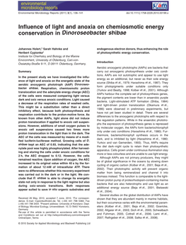 Influence of Light and Anoxia on Chemiosmotic Energy Conservation in Dinoroseobacter Shibae