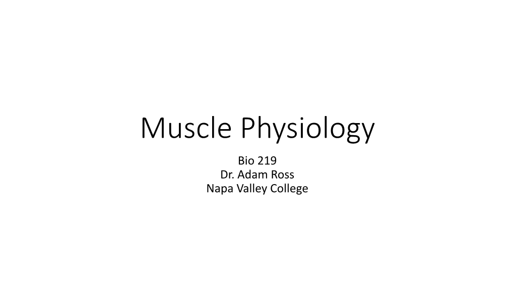 Muscle Physiology Bio 219 Dr