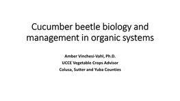 Cucumber Beetle Biology and Management in Organic Systems