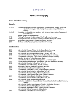 Karin Kneffel Biography