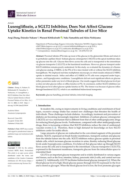 Luseogliflozin, a SGLT2 Inhibitor, Does Not Affect Glucose Uptake