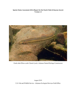 Species Status Assessment (SSA) Report for the Ozark Chub (Erimystax Harryi) Version 1.2