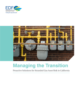 Managing the Transition — Proactive Solutions for Stranded Gas Asset Risk in California Table of Contents