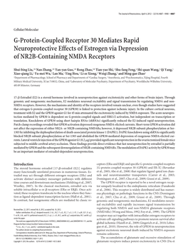 G-Protein-Coupled Receptor 30 Mediates Rapid Neuroprotective Effects of Estrogen Via Depression of NR2B-Containing NMDA Receptors