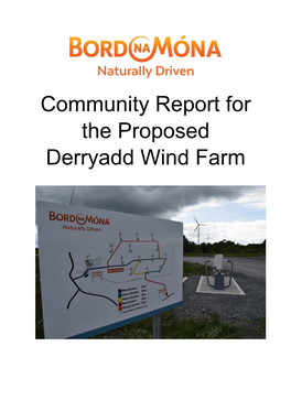 Community Report for the Proposed Derryadd Wind Farm