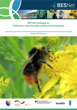 BES-Net Trialogue on Pollinators, Food Security and Rural Development