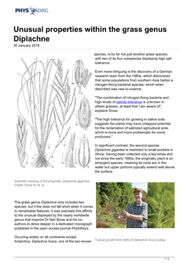 Unusual Properties Within the Grass Genus Diplachne 30 January 2018