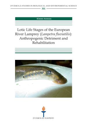 Lotic Life Stages of the European River Lamprey (Lampetra Fluviatilis): Anthropogenic Detriment and Rehabilitation