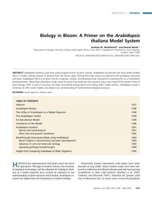 Biology in Bloom: a Primer on the Arabidopsis Thaliana Model System