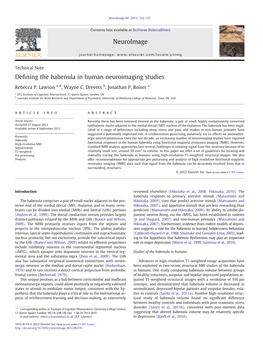 Defining the Habenula in Human Neuroimaging Studies