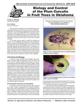 Biology and Control of the Plum Curculio in Fruit Trees in Oklahoma