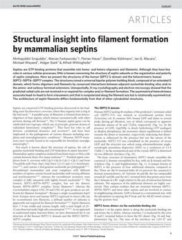 Structural Insight Into Filament Formation by Mammalian Septins