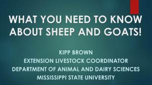What You Need to Know About Sheep and Goats!