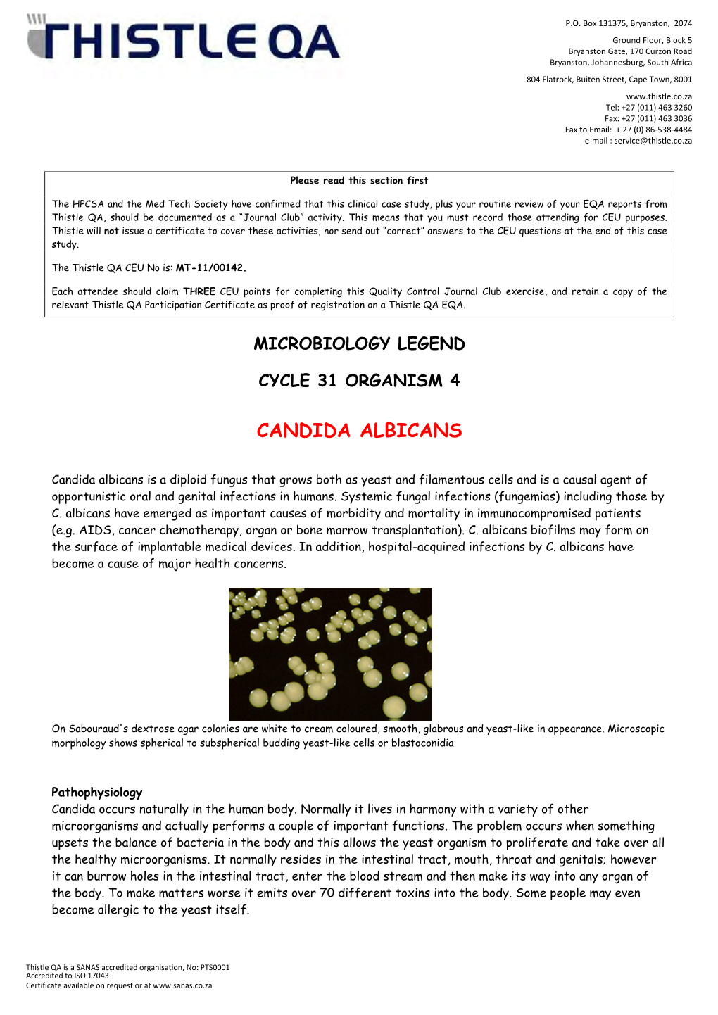 Cycle 31 Organism 4