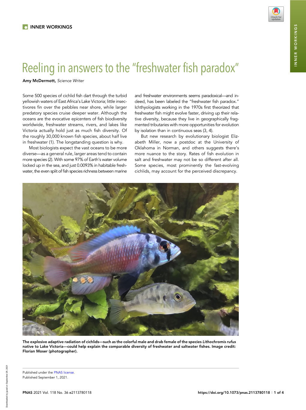 Inner Workings: Reeling in Answers to the “Freshwater Fish Paradox”
