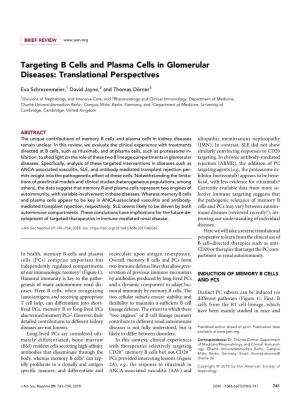 Targeting B Cells and Plasma Cells in Glomerular Diseases: Translational Perspectives