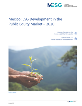 Mexico: ESG Development in the Public Equity Market – 2020