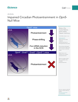 Impaired Circadian Photoentrainment in Opn5-Null Mice
