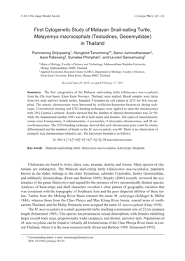 First Cytogenetic Study of Malayan Snail-Eating Turtle, Malayemys Macrocephala (Testudines, Geoemydidae) in Thailand