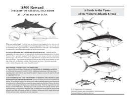 A Guide to the Tunas of the Western Atlantic Ocean $500 Reward