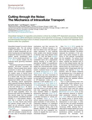 The Mechanics of Intracellular Transport