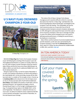 U S Navy Flag Crowned Champion 2-Year-Old Cont