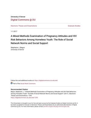 A Mixed Methods Examination of Pregnancy Attitudes and HIV Risk Behaviors Among Homeless Youth: the Role of Social Network Norms and Social Support