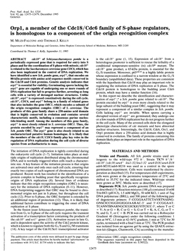 Orpl, a Member of the Cdcl8/Cdc6 Family of S-Phase Regulators, Is Homologous to a Component of the Origin Recognition Complex M