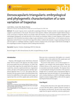 Dorsoscapularis Triangularis: Embryological and Phylogenetic Characterization of a Rare Variation of Trapezius