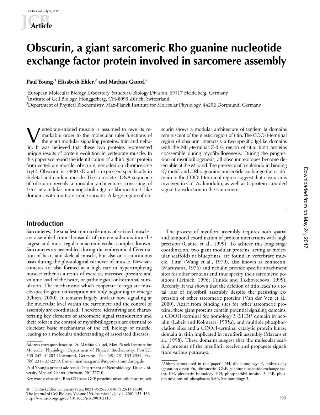 Obscurin, a Giant Sarcomeric Rho Guanine Nucleotide Exchange Factor Protein Involved in Sarcomere Assembly