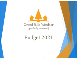 Budget 2021 Budget % of Budget