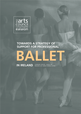 Towards a Strategy of Support for Professional in Ireland