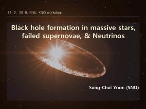 Black Hole Formation in Massive Stars, Failed Supernovae, & Neutrinos