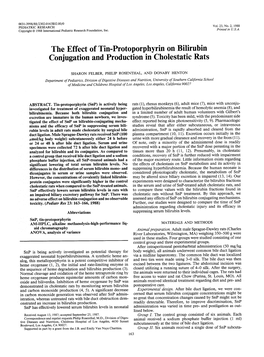 The Effect of Tin-Protoporphyrin on Bilirubin Conjugation and Production in Cholestatic Rats