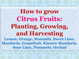 Planting, Growing, and Harvesting Lemon, Orange, Mosambi, Sweet