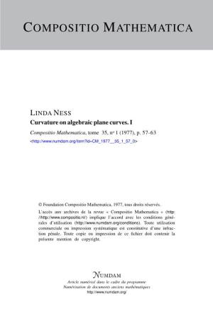Curvature on Algebraic Plane Curves. I Compositio Mathematica, Tome 35, No 1 (1977), P