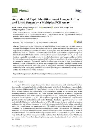 Accurate and Rapid Identification of Longan Arillus and Litchi Semen By