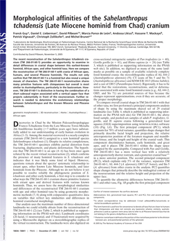 (Late Miocene Hominid from Chad) Cranium