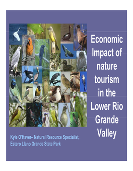 Economic Impact of of Nature Tourism in the Lower Rio Grande Valley