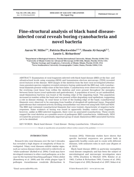 Fine-Structural Analysis of Black Band Disease-Infected Coral Reveals