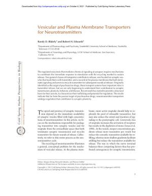 Vesicular and Plasma Membrane Transporters for Neurotransmitters
