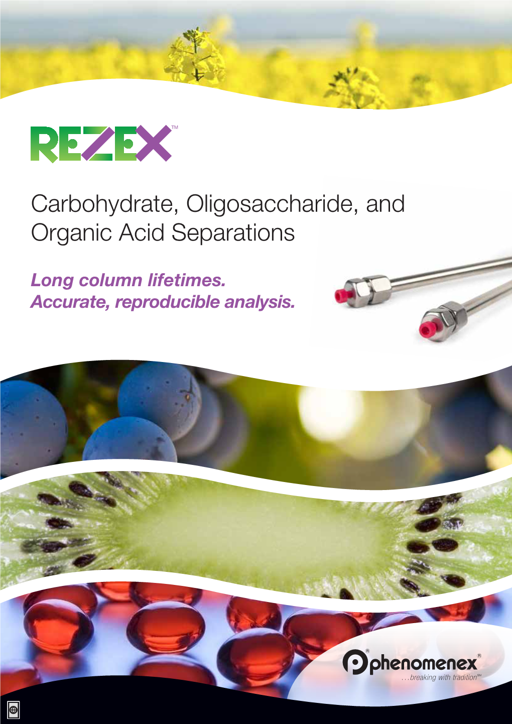 Carbohydrate, Oligosaccharide, and Organic Acid Separations