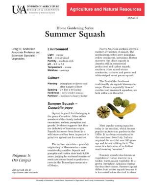 Summer Squash