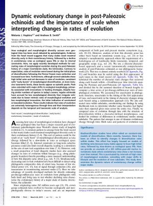 Dynamic Evolutionary Change in Post-Paleozoic Echinoids and the Importance of Scale When Interpreting Changes in Rates of Evolution