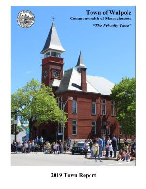 Town Report 2019