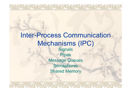Inter-Process Communication Mechanisms (IPC)