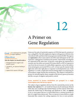 A Primer on Gene Regulation