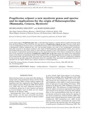 Fragilicetus Velponi: a New Mysticete Genus and Species and Its Implications for the Origin of Balaenopteridae (Mammalia, Cetacea, Mysticeti)
